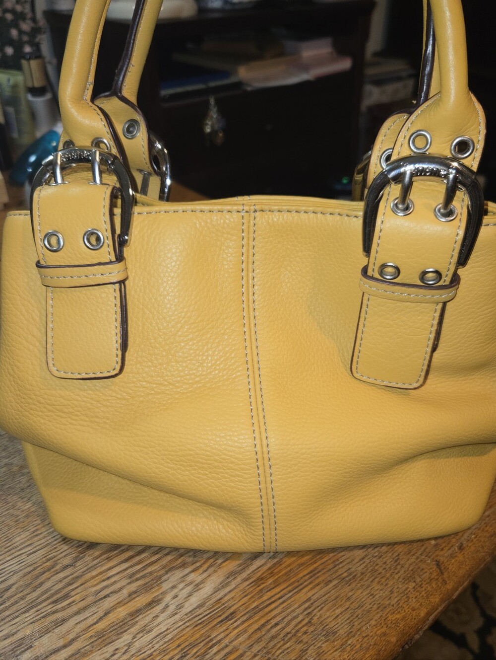 Tignanello Orangeish Leather Handbag